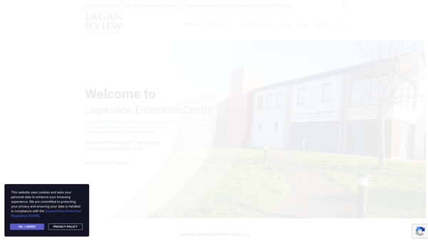 Screenshot of the LaganView Enterprise Centre Ltd website