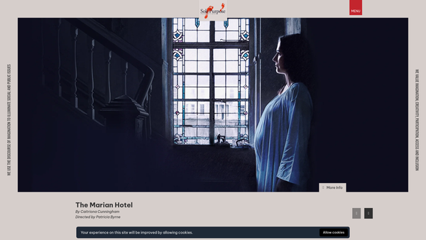 Screenshot of the Sole Purpose website