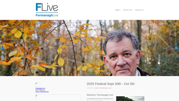 Screenshot of the Fermanagh Arts Festival website