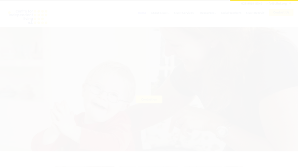 Screenshot of the Centre for Independent Living N.I. website