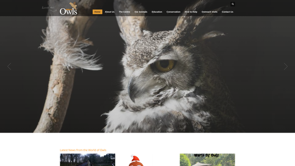 Screenshot of the World of Owls website