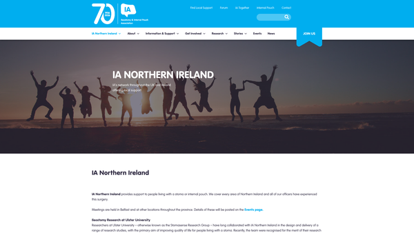 Screenshot of the IA Northern Ireland website