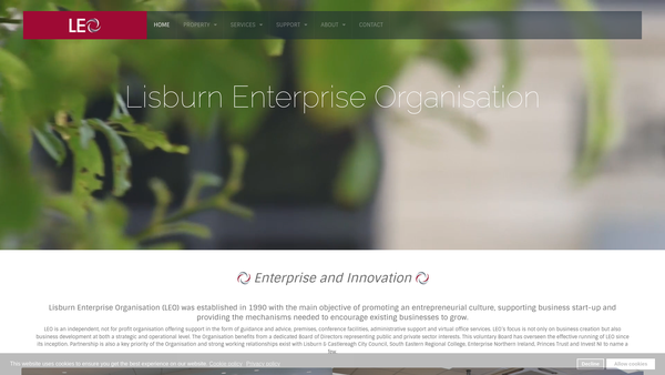 Screenshot of the Lisburn Enterprise Organisation Limited website