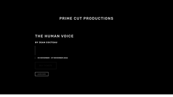Screenshot of the Prime Cut Productions website