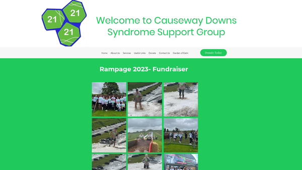 Screenshot of the Causeway Down's Syndrome Parent/Carers Support Group website