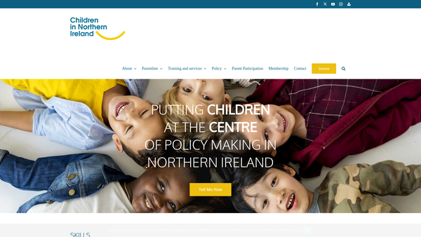 Screenshot of the Children in Northern Ireland website