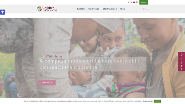 Screenshot of the Children In Crossfire website