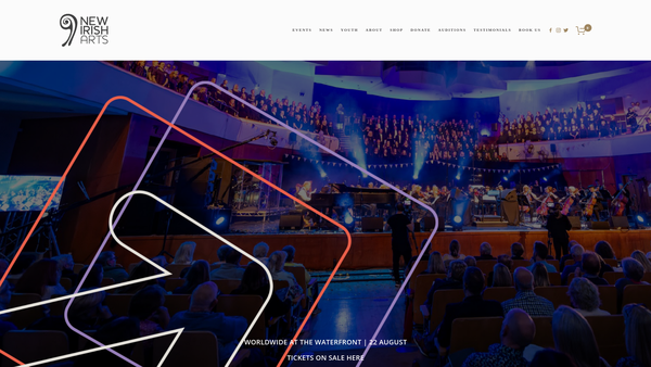 Screenshot of the New Irish Arts Limited website
