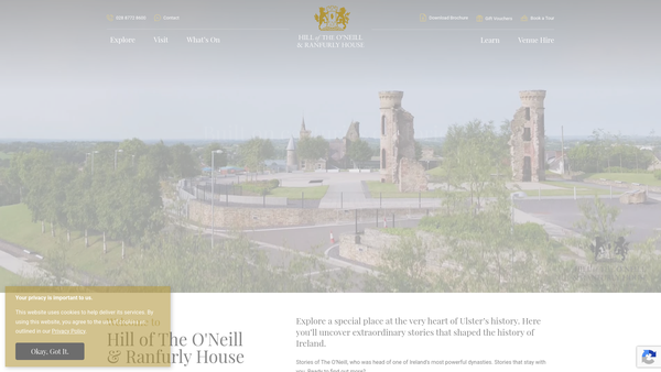 Screenshot of the Dungannon Borough Arts Forum website