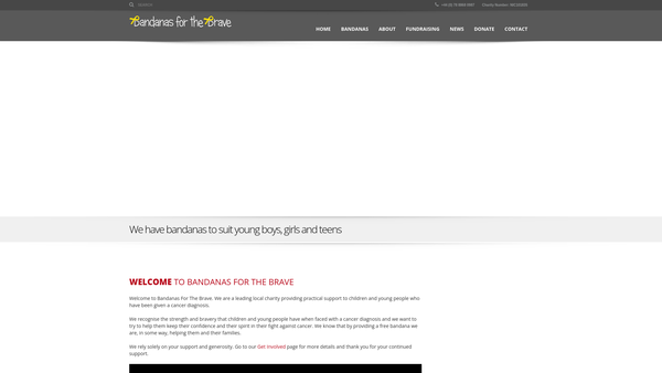 Screenshot of the Bandanas For The Brave website
