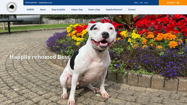 Screenshot of the Northern Ireland Staffordshire Bull Terrier Rescue website