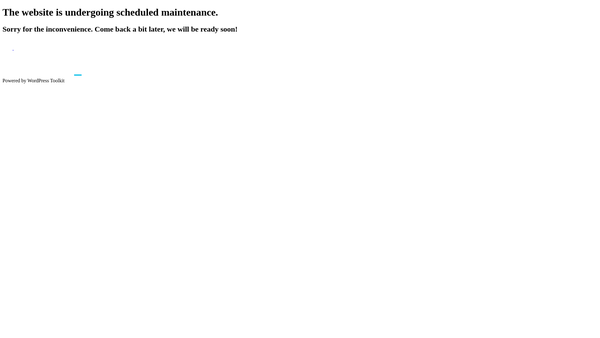 Screenshot of the Community Intercultural Programme website