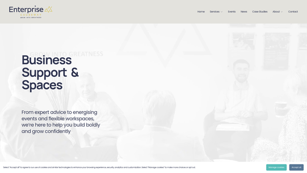 Screenshot of the Enterprise Causeway Ltd website