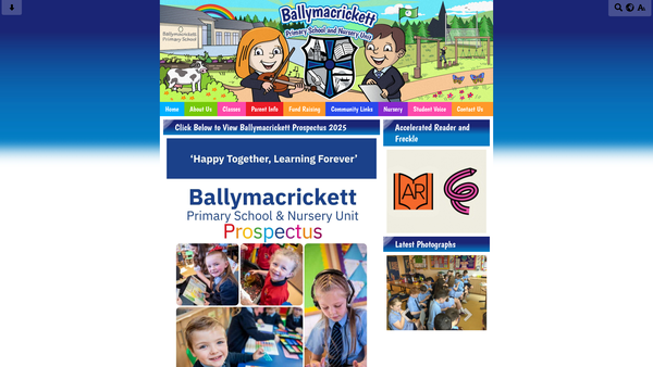 Screenshot of the Ballymacrickett Fundraising Committee website