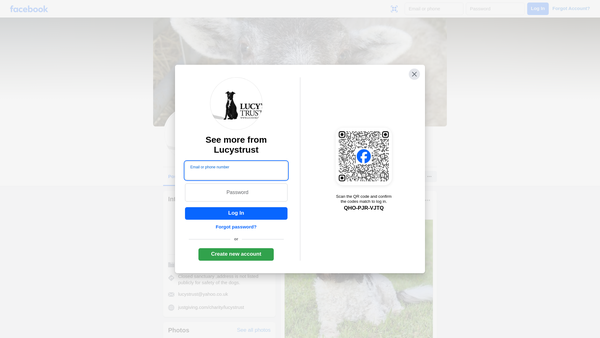 Screenshot of the Lucy's Trust website