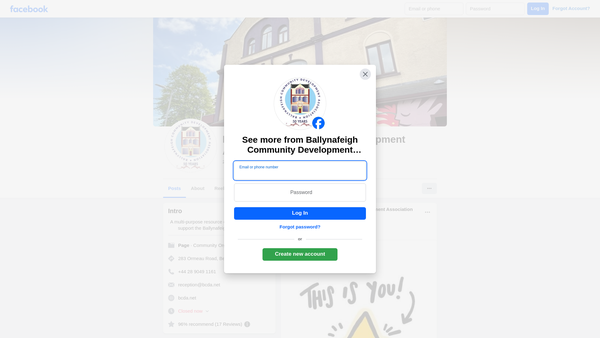 Screenshot of the Ballynafeigh Community Development Association website