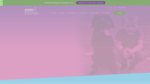 Screenshot of the Assistance Dogs Northern Ireland website