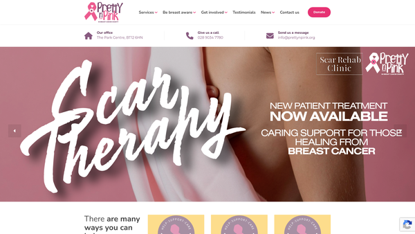 Screenshot of the Pretty 'n' Pink Limited website