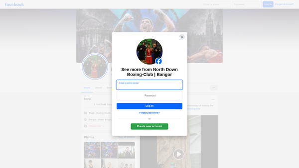 Screenshot of the North Down Boxing Club website