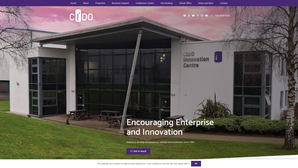 Screenshot of the Craigavon Industrial Development Organisation website