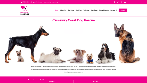 Screenshot of the Causeway Coast Dog Rescue Limited website