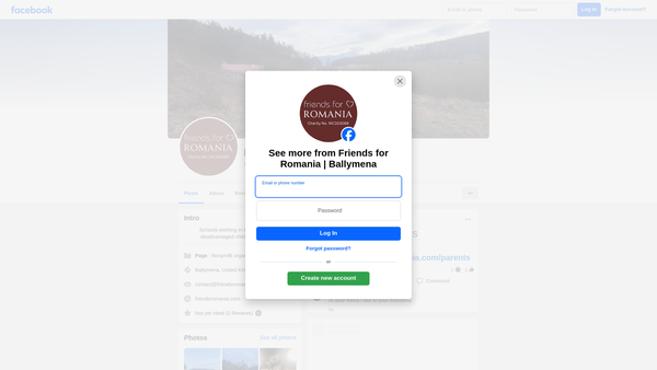 Screenshot of the Friends for Romania website