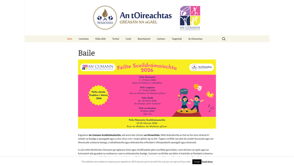 Screenshot of the Feile an Iuir website
