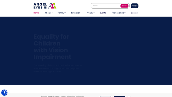 Screenshot of the Angel Eyes NI Services website