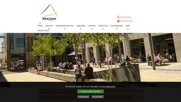 Screenshot of the Skainos Limited website