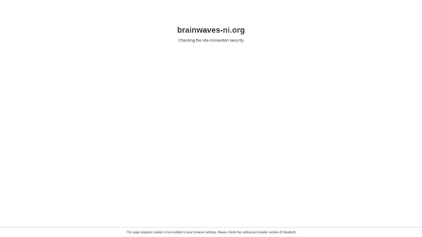 Screenshot of the Brainwaves NI website