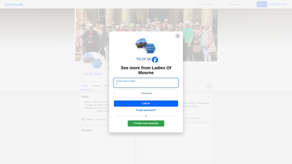 Screenshot of the The Ladies of Mourne website