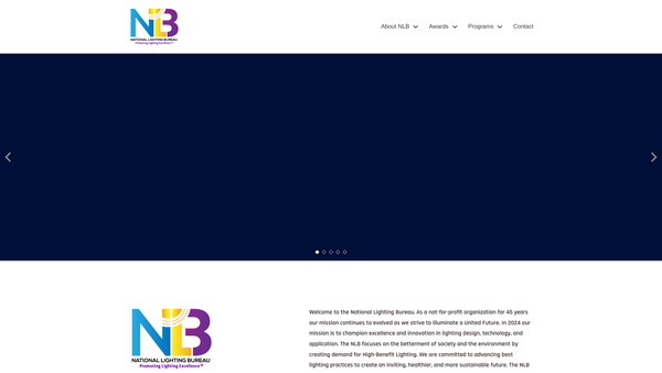 Screenshot of the Participation & Practice of Rights Project Ltd website