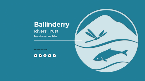Screenshot of the Ballinderry Rivers Trust website