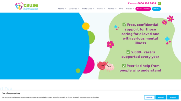 Screenshot of the CAUSE (NI) Ltd website