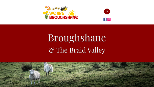 Screenshot of the Broughshane Playgroup Limited website