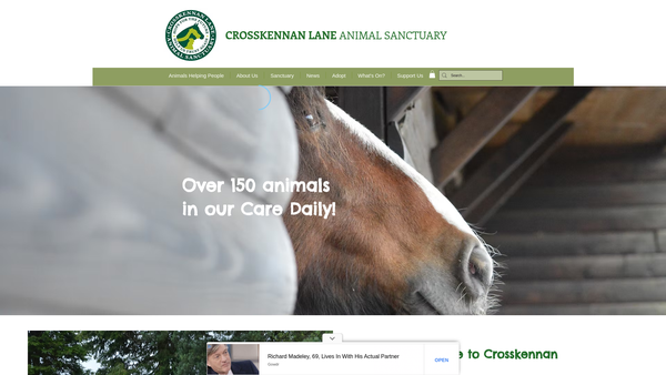 Screenshot of the Crosskennan Lane Animal Sanctuary website