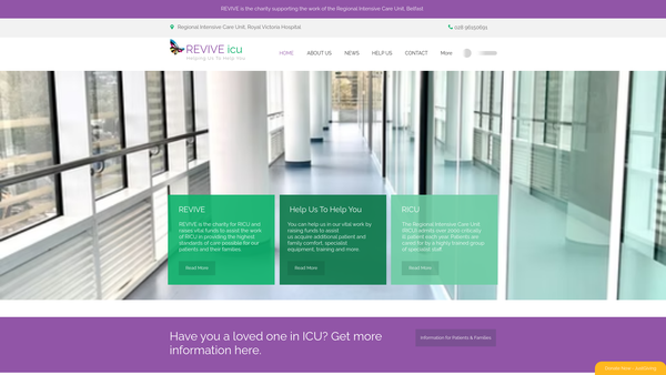 Screenshot of the Revive website