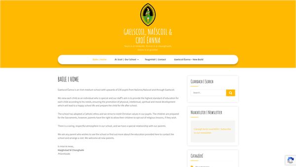 Screenshot of the Croí Éanna website