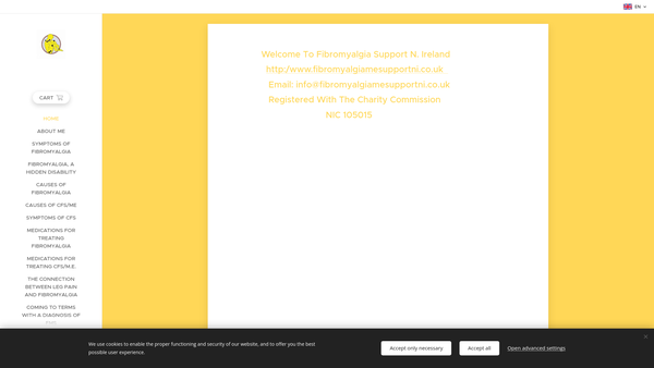 Screenshot of the Fibromyalgia Support N. Ireland website