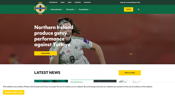 Screenshot of the Irish FA Foundation Limited website