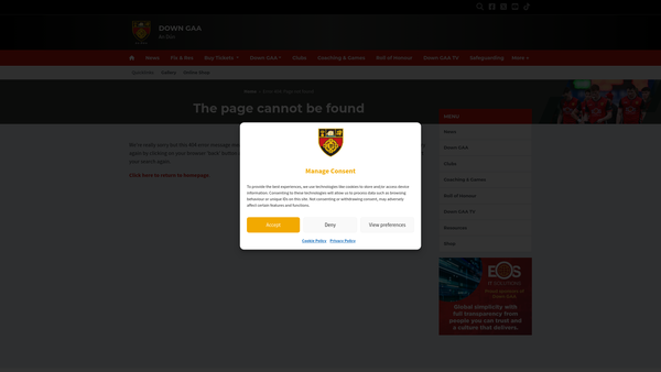 Screenshot of the Club Down (Cumann An Duin) website