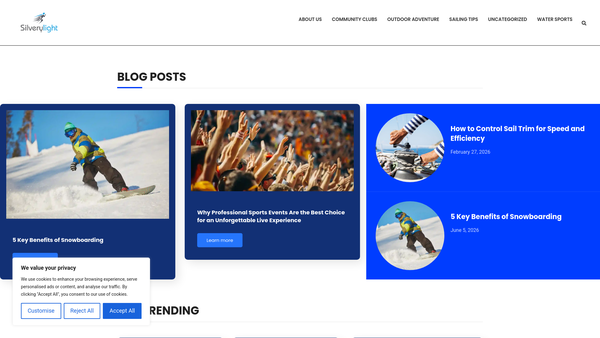 Screenshot of the Silvery Light Sailing website