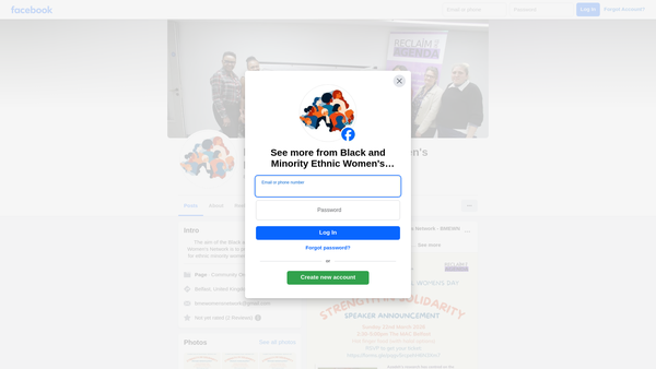 Screenshot of the Black And Minority Ethnic Women's Network website