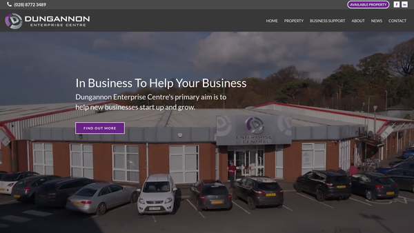 Screenshot of the Dungannon Enterprise Centre website