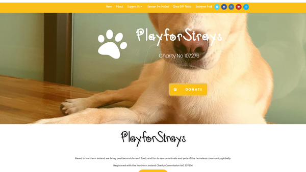 Screenshot of the PlayforStrays website