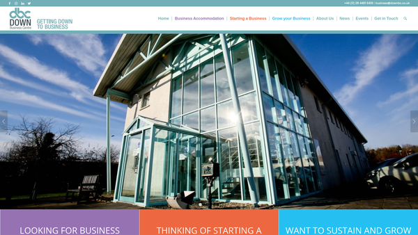Screenshot of the Down Business Centre website