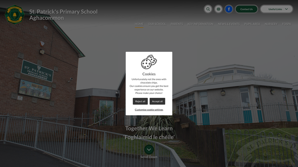 Screenshot of the Friends of St Patricks Aghacommon website