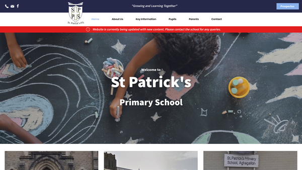 Screenshot of the Friends of St Patrick's, Derrynaseer website