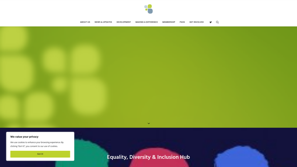 Screenshot of the C W Young / R McMullan Charitable Trust website