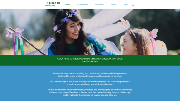 Screenshot of the Place to Wonder website